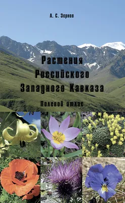 Растения Российского Западного Кавказа. Полевой атлас», А. С. Зернов –  скачать pdf на ЛитРес