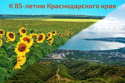 Травы Краснодарского края \" ЛЕСНАЯ ПОЛЯНКА\" витаминный 50 гр ООО Адлер чай  11388032 купить в интернет-магазине Wildberries