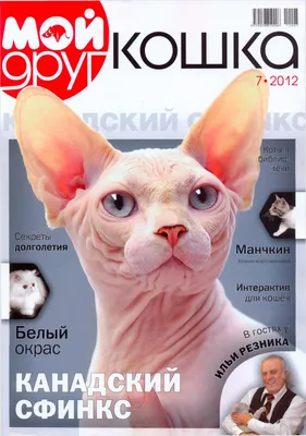 frends_cat_7_2012 by Олеся Малахова - Issuu