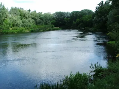 Река Северный Донец - 59 фото