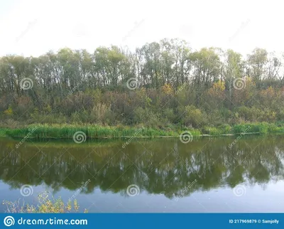 Река Северский Донец | Соломино (Белгородский район) | Фотопланета