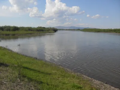 Рыбалка на могучей реке Селенга с берега и лодки фото видео