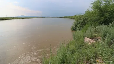 Уровень реки Селенга в Улан-Удэ за сутки немного снизился - МК Улан-Удэ