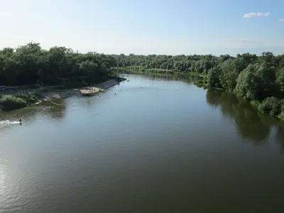 Река Хопёр :: Илья Ильинский – Социальная сеть ФотоКто