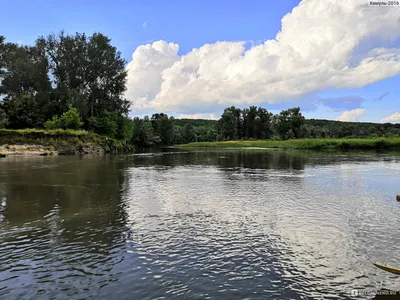 Тело утопленника нашли в реке Хопер в Волгоградской области - 10 июня 2022  - v1.ru