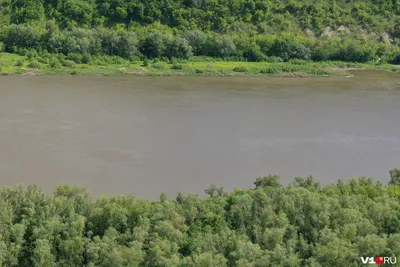 Река Хопёр (бассейн реки Дон)