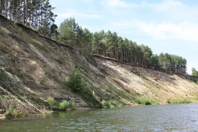 На расчистку реки Хопер потратят 60 миллионов рублей | Новости Саратова и  Саратовской области сегодня