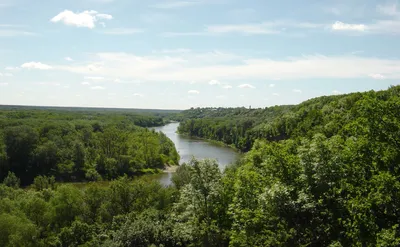 Река Хопер рождается в Пензенской области из 12 родников