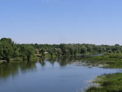 Водный сплав по реке Хопёр от села Сосновка до г. Борисоглебск ( длина 405  км) | Tripmir