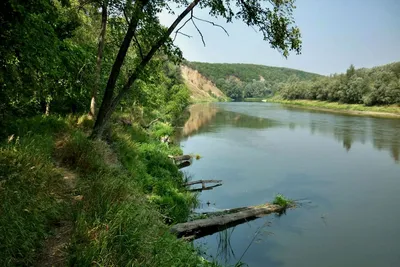 Река Хопёр в Балашовском районе, Саратовская область - YouTube