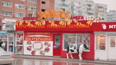 Мясной магазин. Открытие магазина \"Зорька\" г. Тольятти / МЯСНАЯ ШКОЛА -  YouTube