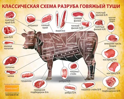 плакат схема разруба говяжьей туши 1500мм х 1200 мм | Comscreen® Реклама  для малого и среднего бизнеса полиграфия световые вывески визитки флаеры  наклейки оклейка витрин магазинов плакат для мясного магазина схема разруба