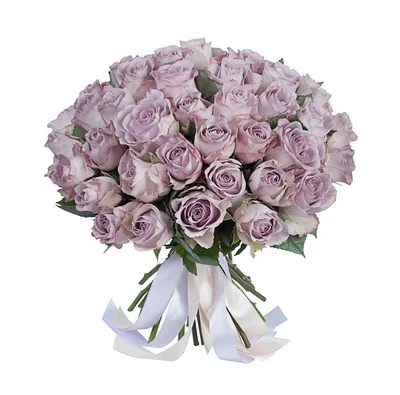 Заказать Букет из 51 лиловой розы мемори лейн с доставкой по Одессе -  Квіткова Майстерня Floristella
