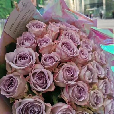 Букет из 29 розовых роз Мемори Лейн (Memory Lane) купить с доставкой по  Минску - Acuba di Flora