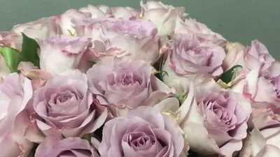 Memory lane rose от Бутика Цветов - Flower Shop - YouTube
