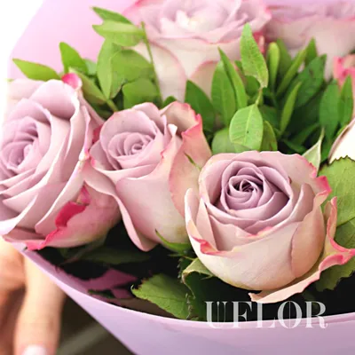 Мемори лейн - заказать цветы с доставкой в Москве недорого - UFLOR. 4 000  руб.