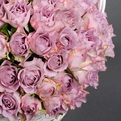 Корзина роз Мемори Лейн с пышным бантом в фирменном интернет-магазине  Camellia