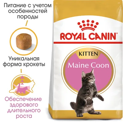 Royal Canin Maine Coon Kitten 2кг для котят породы мейн кун - купить по  лучшей цене в Харькове от компании \"Зоомагазин Шиншилка - Дискаунтер  зоотоваров.Корма для кошек и собак. Ветеринарная аптека\" - 312631268