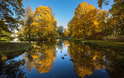 Самые красивые садовые осенние краски России изображение_Фото номер  501083895_JPG Формат изображения_ru.lovepik.com