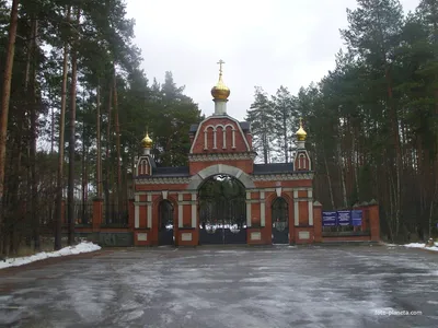 Кладбище посёлка санатория \"Озеро Белое\" | Шатура городской округ |  Фотопланета