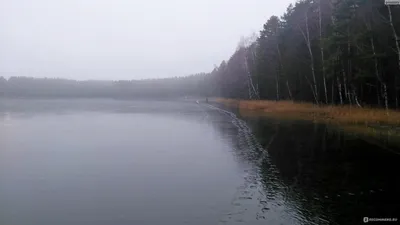 Санаторий \"Озеро Белое\