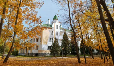 Санаторий им. Ф.Э. Дзержинского, Воронеж