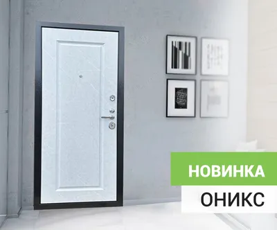 Входные двери металлические купить в Москве от производителя -  интернет-магазин Shelter-Doors