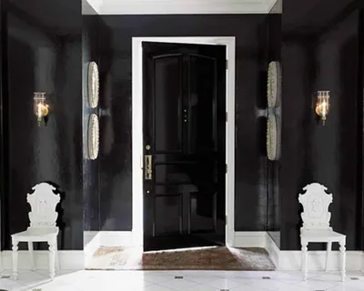 Темные входные двери в интерьере: сочетаем с полом, стенами, плинтусами,  мебелью + ФОТО