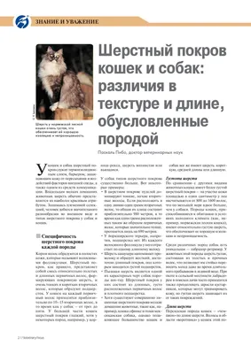 Focus veterinary №18.1 - Veterinary focus-при-для | PubHTML5