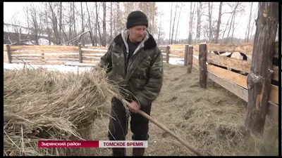 Эстонское название деревни Вамболы внесли в реестр Михайловского поселения с  ошибкой - YouTube