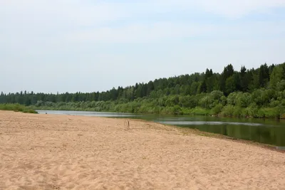 Село зырянское томской области фото