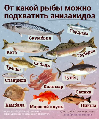 Чем опасна рыба: какие заболевания передаются с речной рыбой | НГС -  новости Новосибирска