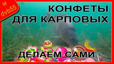 Карповые Изображения – скачать бесплатно на Freepik