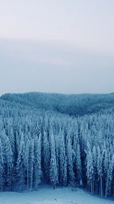 Сибирь зимой - 66 фото