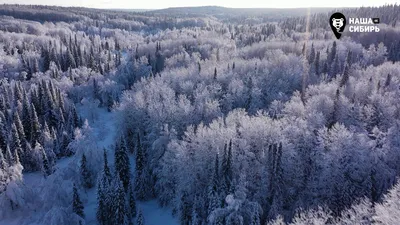 Зима в Сибири | Пикабу
