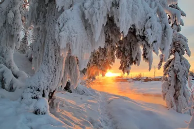 Зима в Сибири - 57 фото