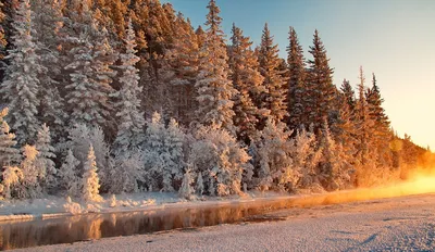 Сибирь зимой фото