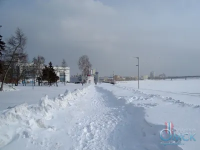 Сибирский лес зимой - фото и картинки: 31 штук