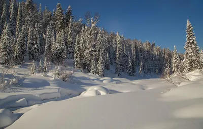 Зима в Сибири / фото