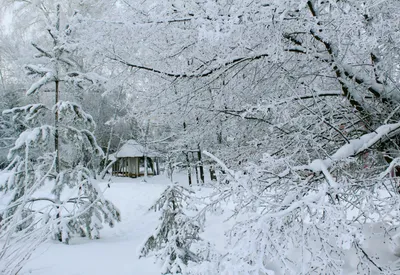 Картинка зима. Лес, снег, деревня, сугробы, зима, Кузнецкий Алатау, доми...  | Landschaftsbau, Landschafts tapete, Landschaft