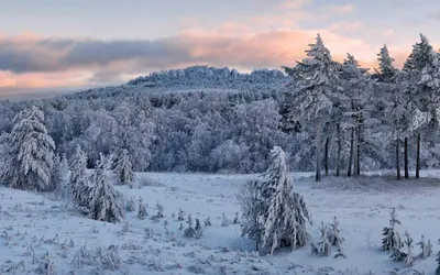 Сибирская зима. Photographer Fomina Marina
