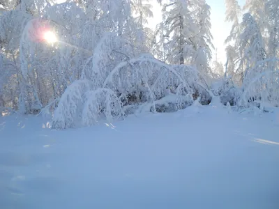 ВЕСТИ.ru - Снежная Сибирь ❄ Зима потихоньку начинает... | Facebook
