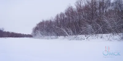 зима в сибири ночь: 9 тыс изображений найдено в Яндекс.Картинках | Пейзажи,  Зимний дом, Городской пейзаж