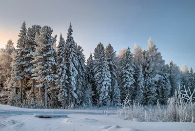 Зима в Сибири | РИА Новости Медиабанк