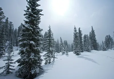 Зима-Сибирь для MudRunner