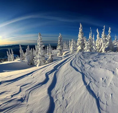 Обои зима, лес, снег, деревья, ели, Россия, тайга, Сибирь картинки на  рабочий стол, раздел природа - скачать