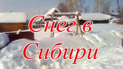 Холодно ли зимой на Алтае? – Это Сибирь!