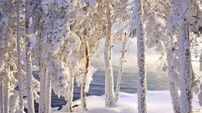 Сибирская зима - 75 фото