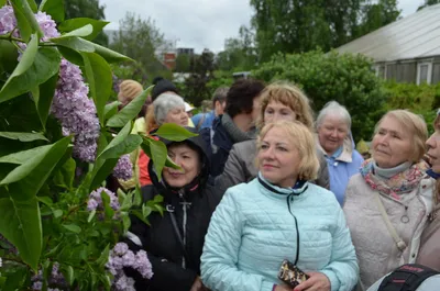 Сиреневый рай: жители Мотовилихи побывали на фестивале цветения сирени в  ПГНИУ