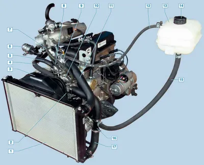Система охлаждения двигателя ГАЗель Бизнес. | Автотема